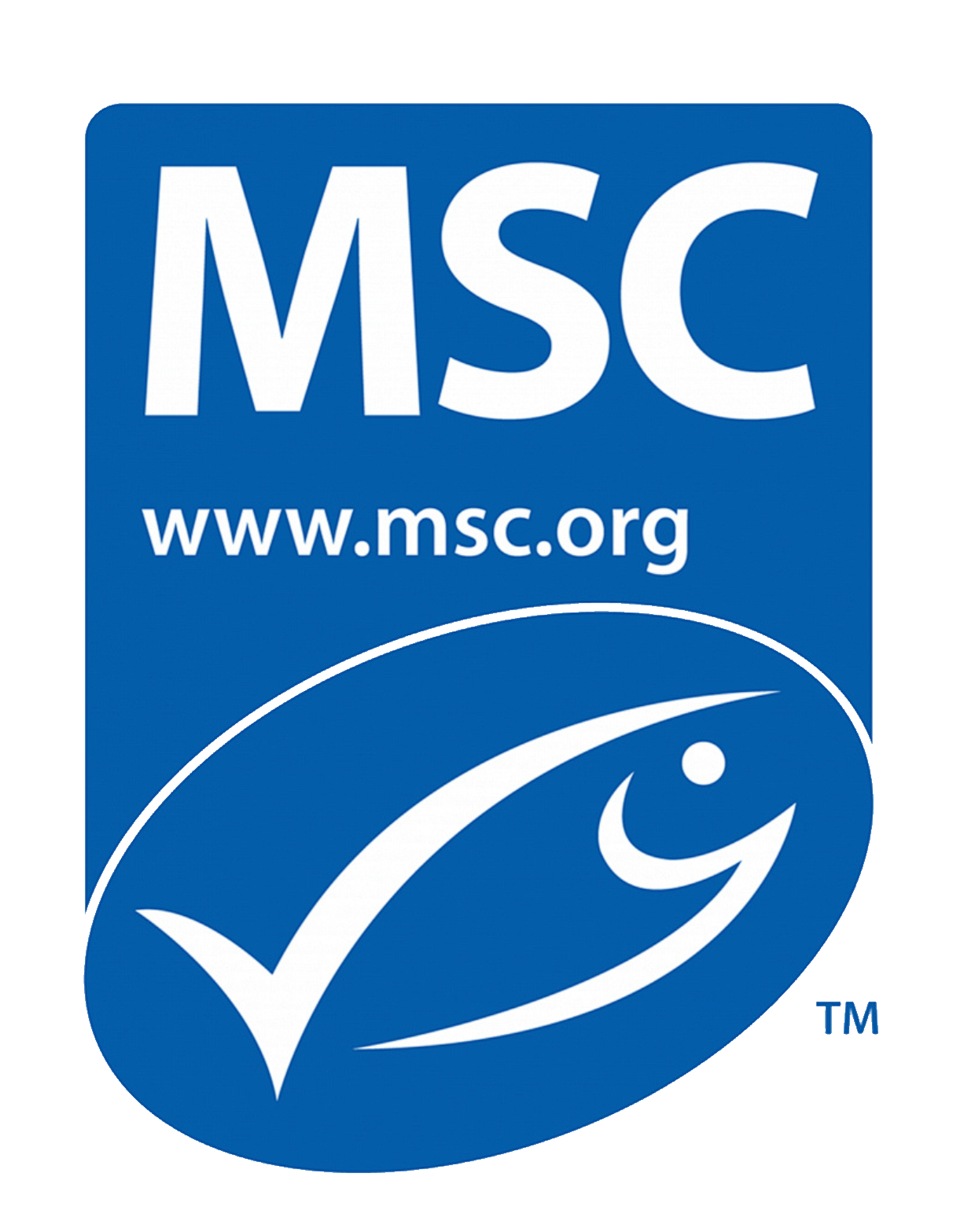 MSC 证书图标